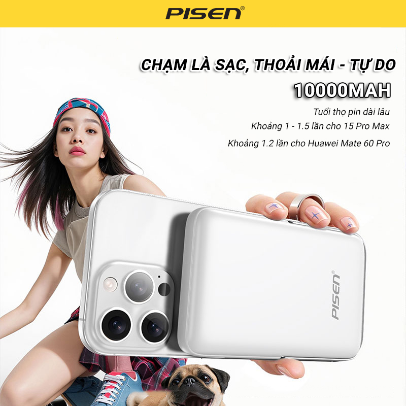 PISEN QUICK MagiPi 20W ALT